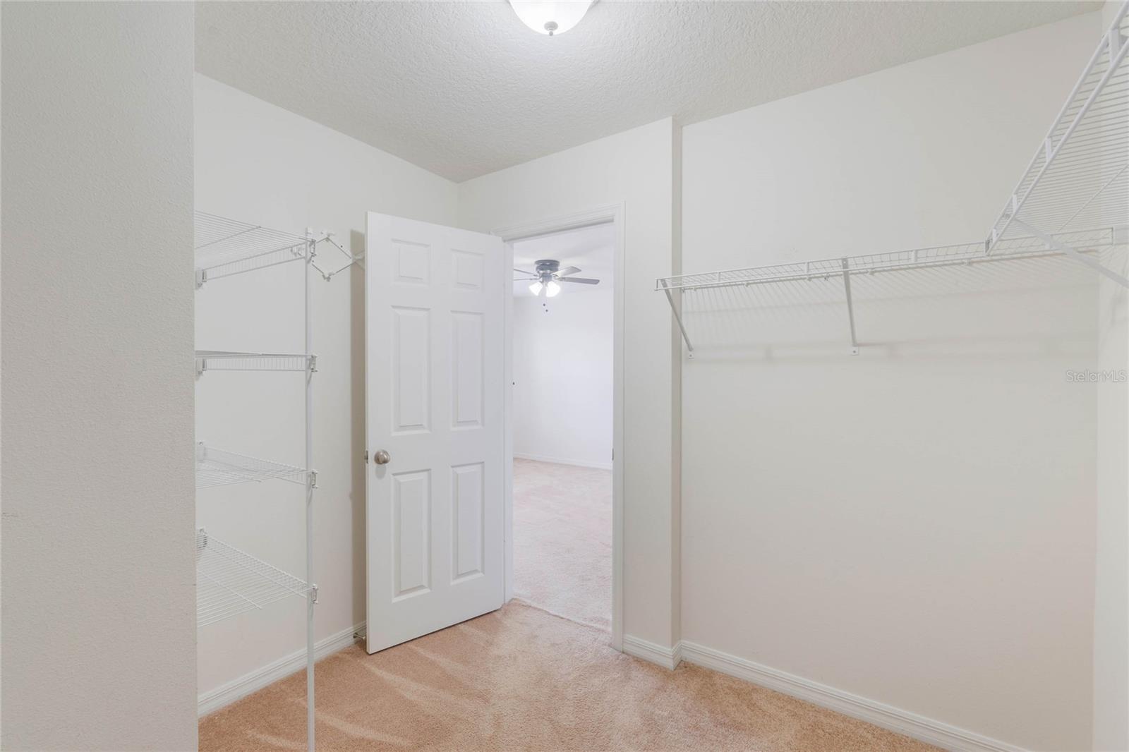 15508 BLACKBEAD ST, WINTER GARDEN, FL, 34787