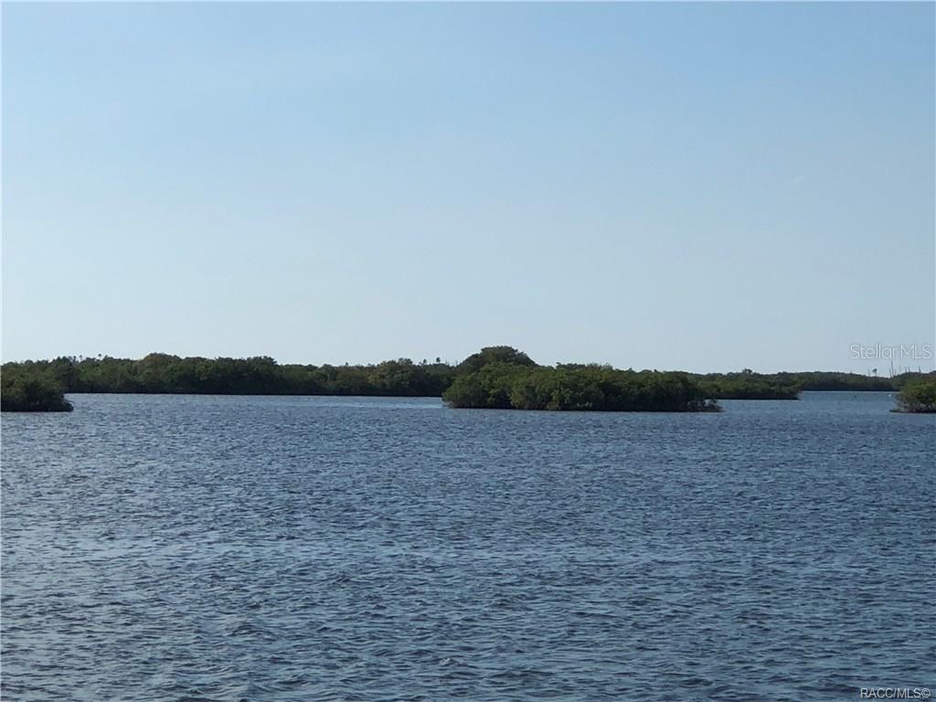 14403 W SEASHELL CT, CRYSTAL RIVER, FL, 34429