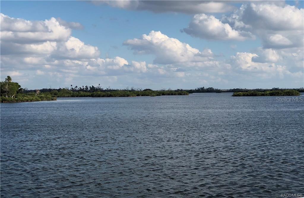 14403 W SEASHELL CT, CRYSTAL RIVER, FL, 34429