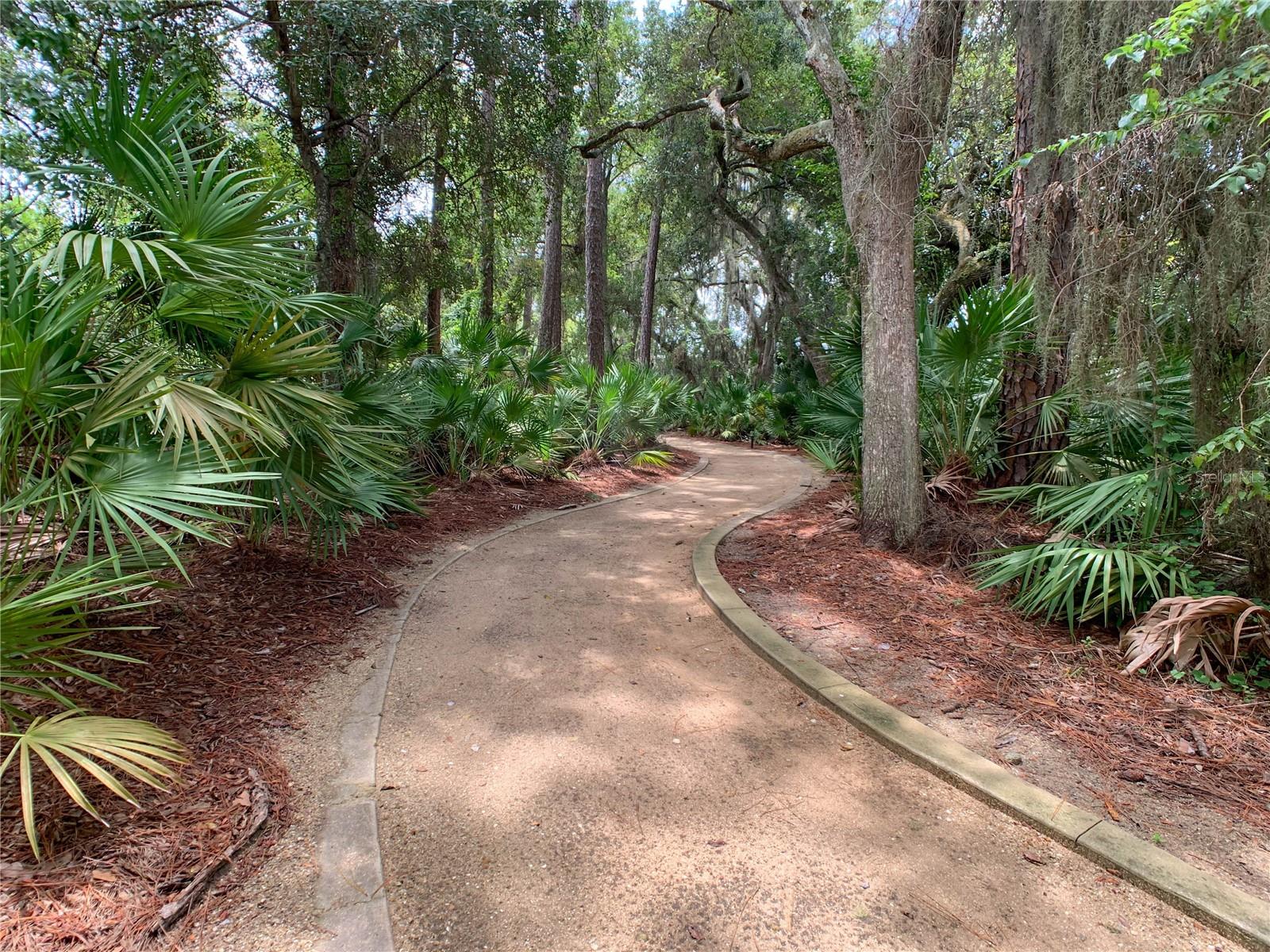 45 RIVERVIEW BND S #1936, PALM COAST, FL, 32137