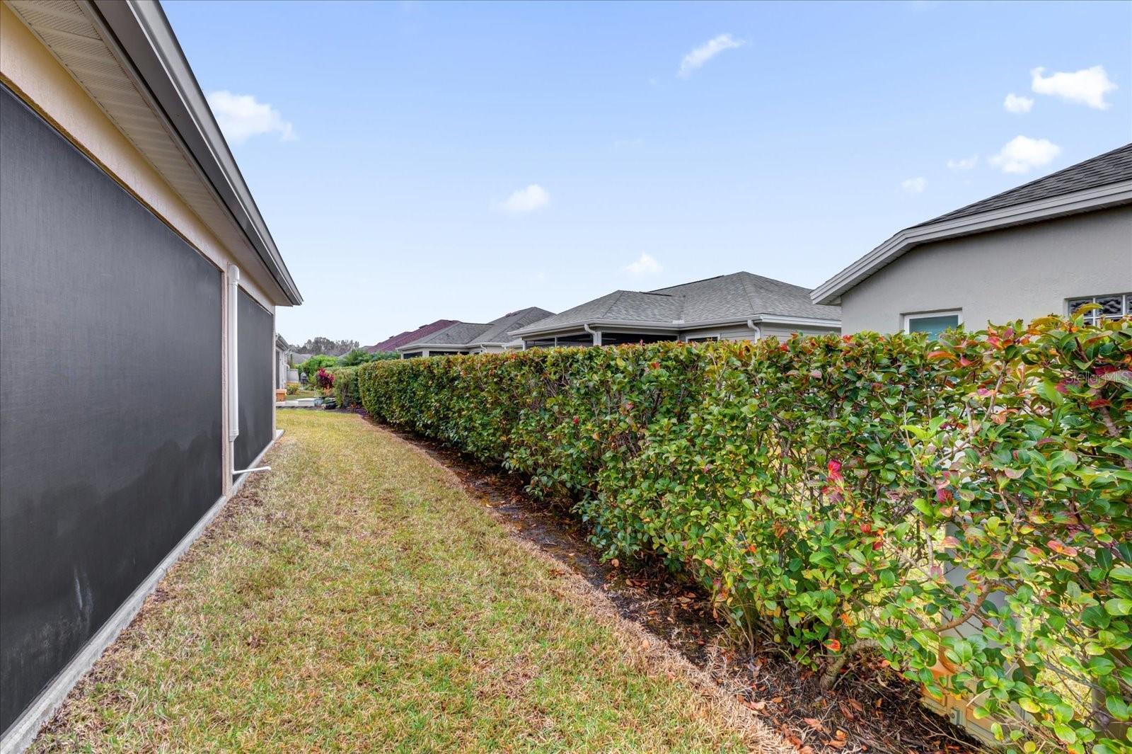 4348 TUSCALOOSA PATH, THE VILLAGES, FL, 32163