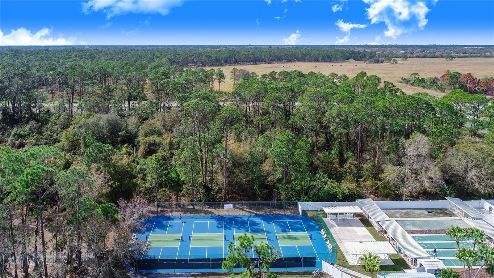 418 PINE LOOP, FROSTPROOF, FL, 33843