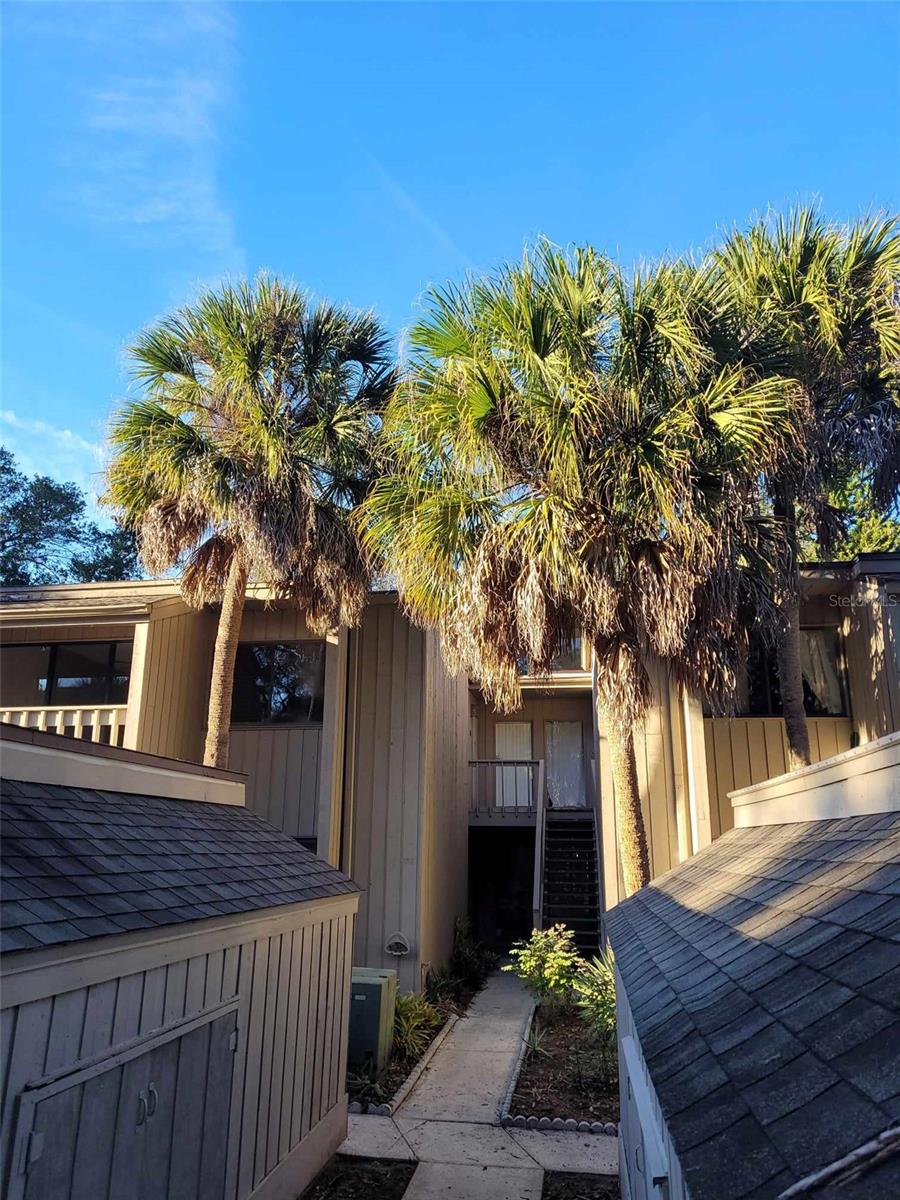 203 CROWN OAKS WAY #202, LONGWOOD, FL, 32779