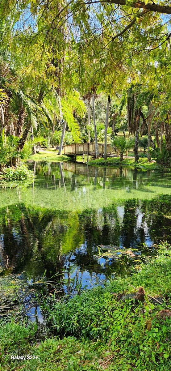 203 CROWN OAKS WAY #202, LONGWOOD, FL, 32779