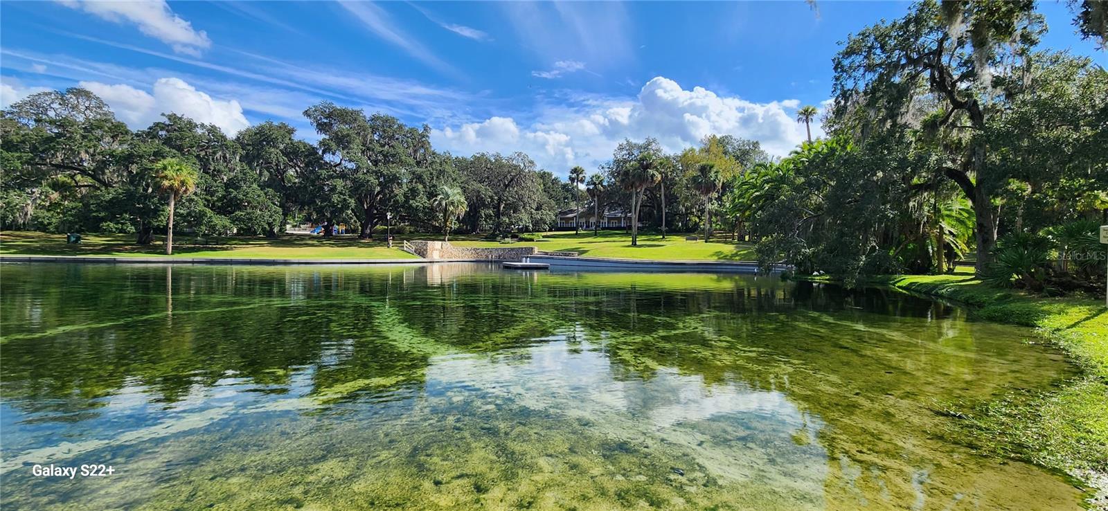 203 CROWN OAKS WAY #202, LONGWOOD, FL, 32779
