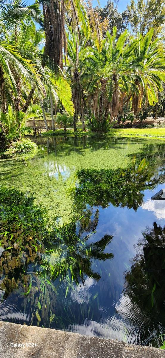 203 CROWN OAKS WAY #202, LONGWOOD, FL, 32779