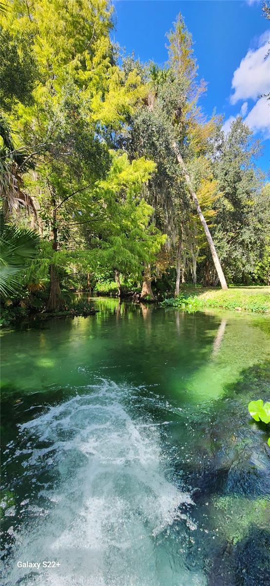 203 CROWN OAKS WAY #202, LONGWOOD, FL, 32779