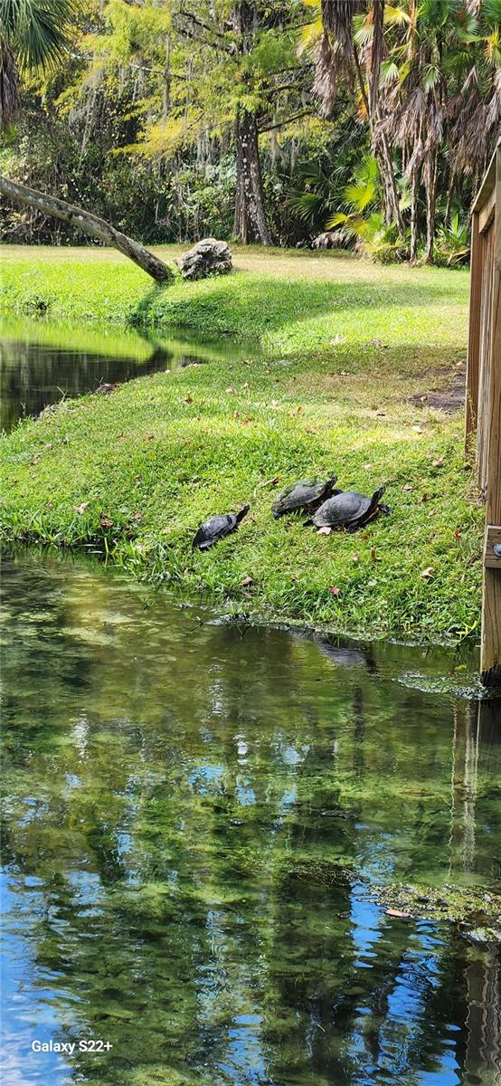 203 CROWN OAKS WAY #202, LONGWOOD, FL, 32779