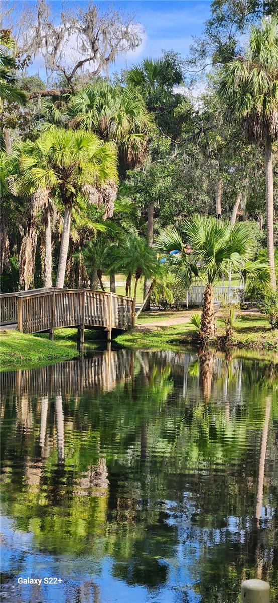 203 CROWN OAKS WAY #202, LONGWOOD, FL, 32779