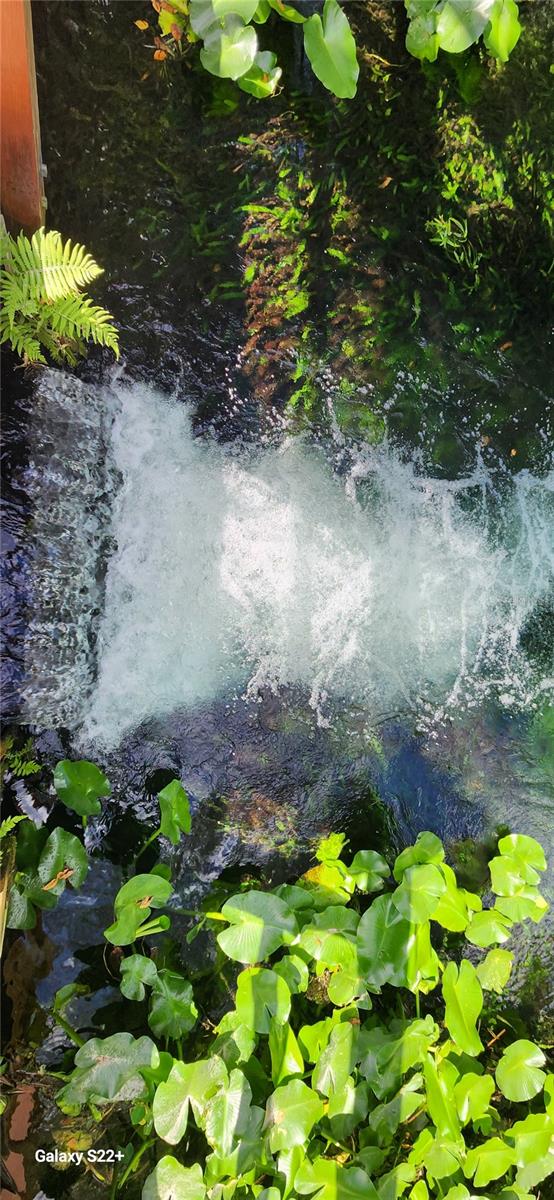 203 CROWN OAKS WAY #202, LONGWOOD, FL, 32779