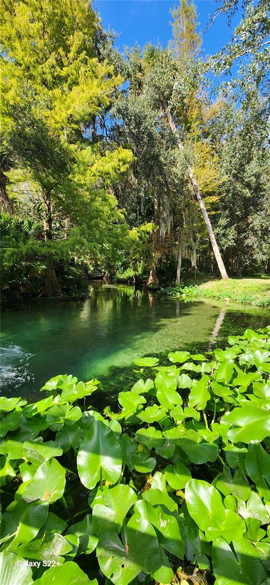 203 CROWN OAKS WAY #202, LONGWOOD, FL, 32779