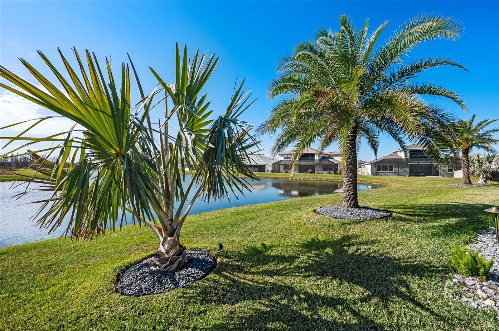 8621 IVY STARK BLVD, WESLEY CHAPEL, FL, 33545