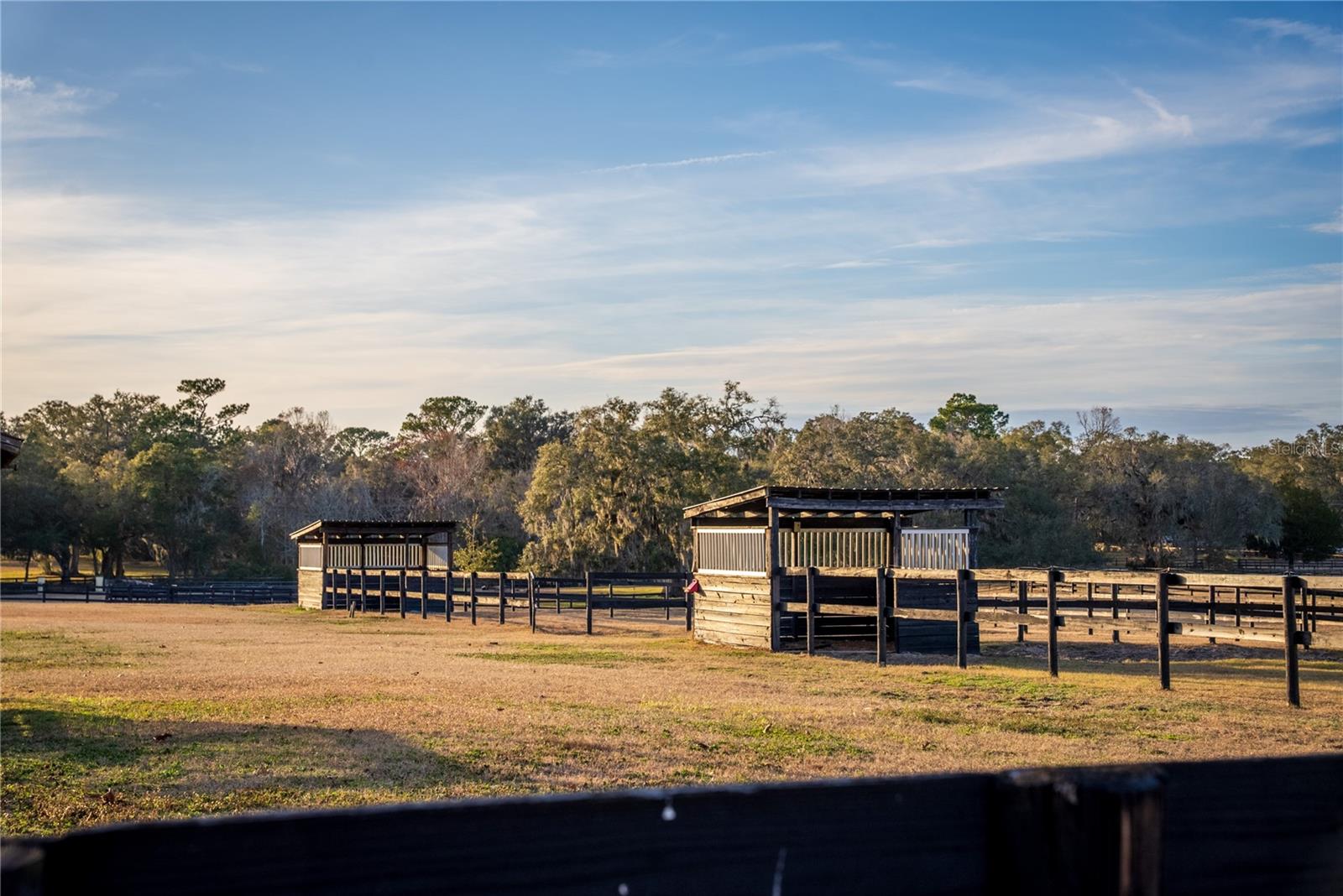 8250 NW 136TH AVENUE RD, OCALA, FL, 34482