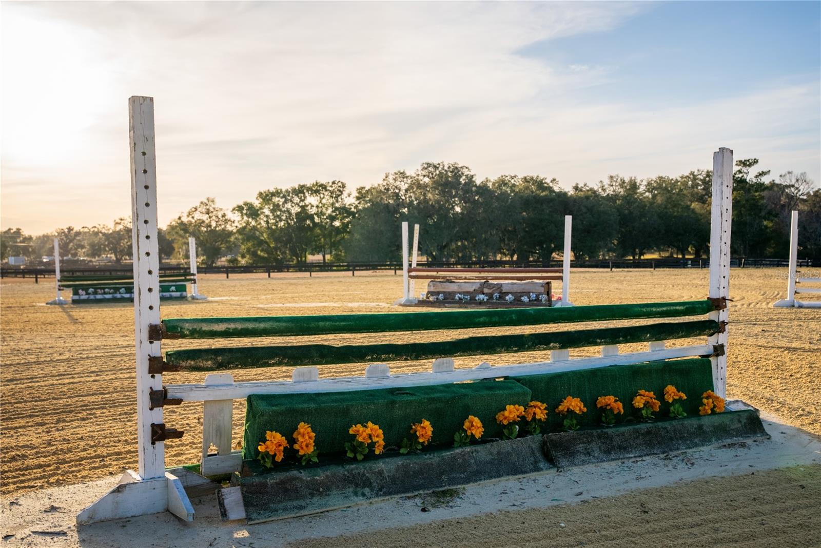 8250 NW 136TH AVENUE RD, OCALA, FL, 34482