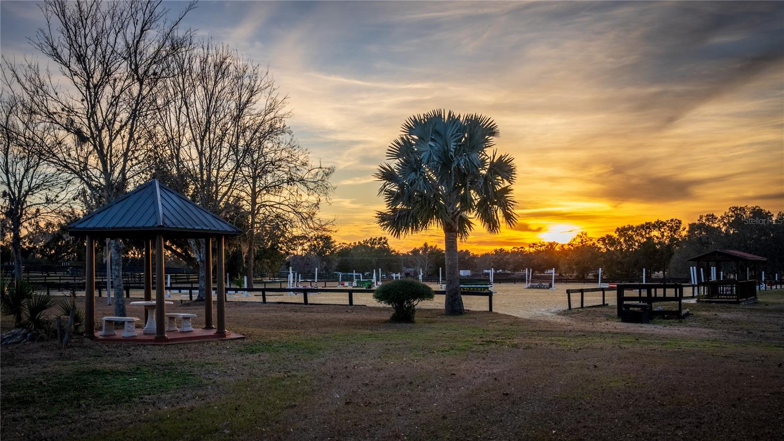 8250 NW 136TH AVENUE RD, OCALA, FL, 34482