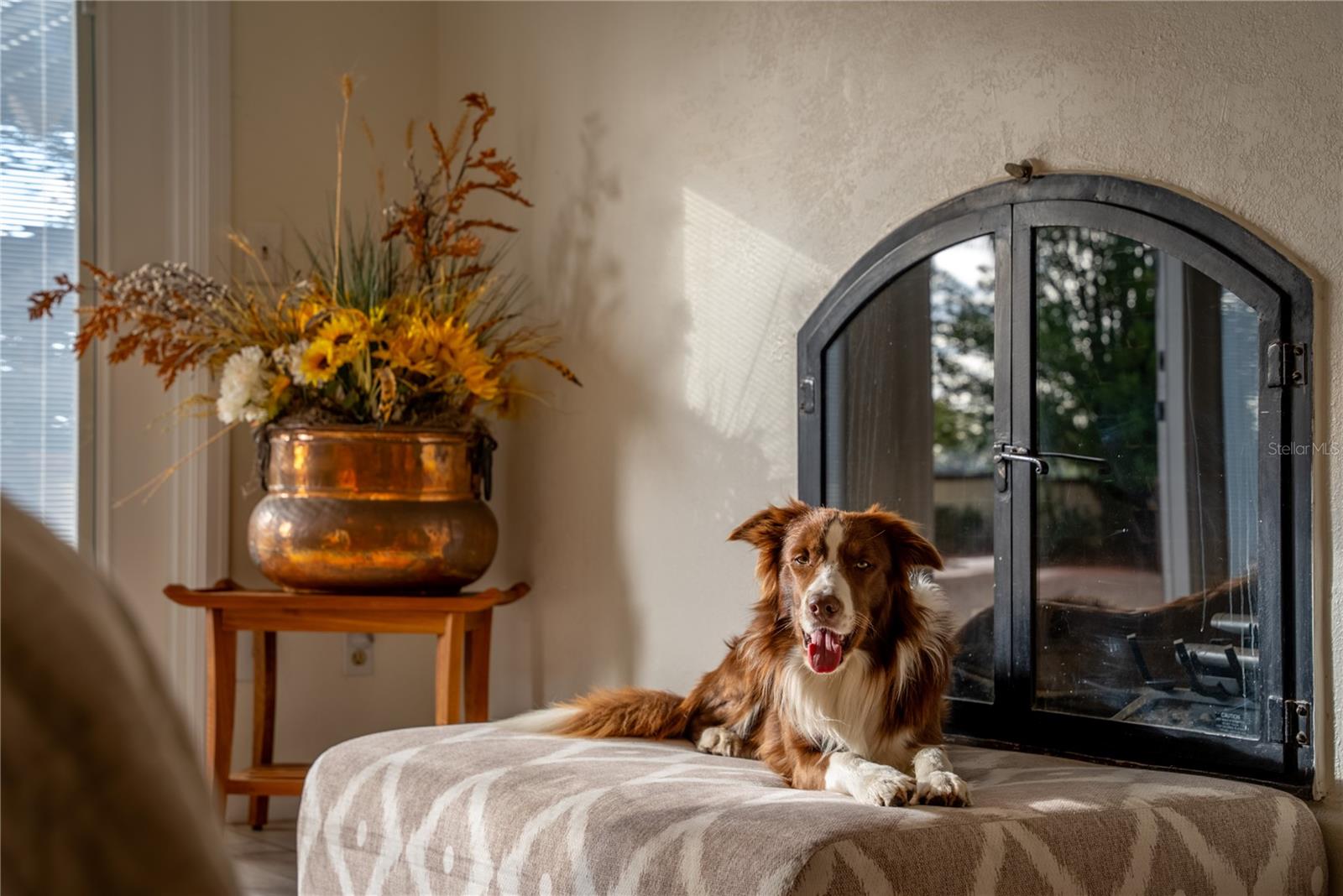 8250 NW 136TH AVENUE RD, OCALA, FL, 34482