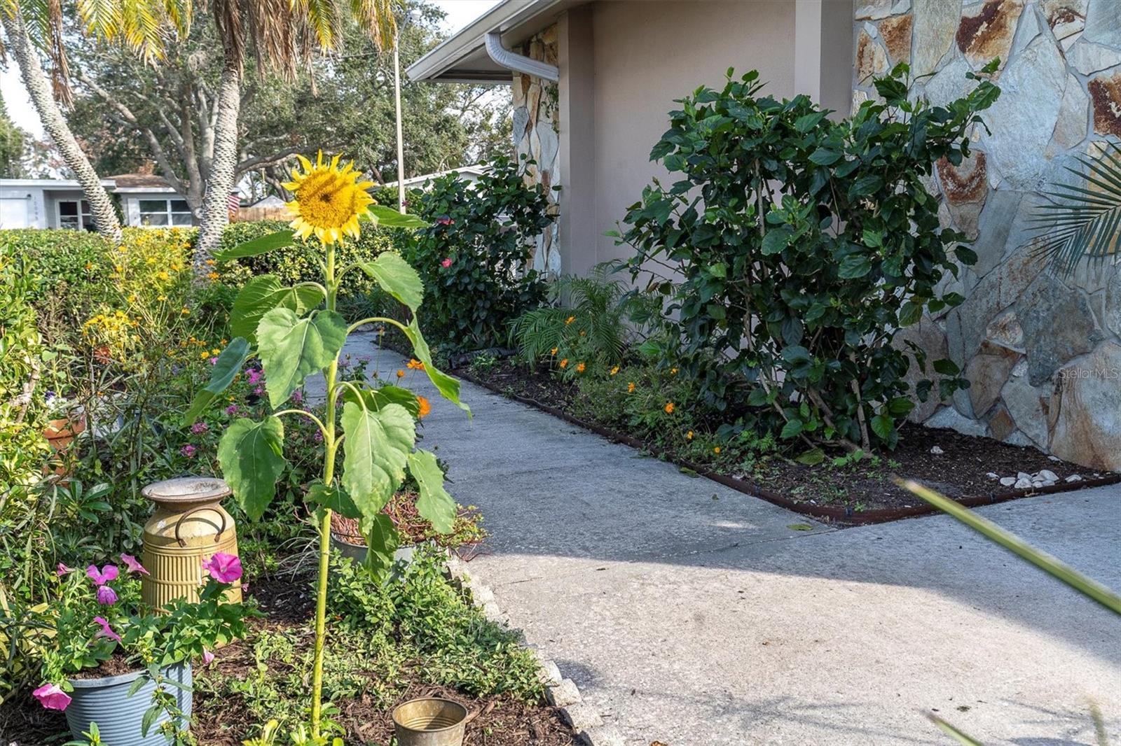 14022 PASSAGE WAY, SEMINOLE, FL, 33776