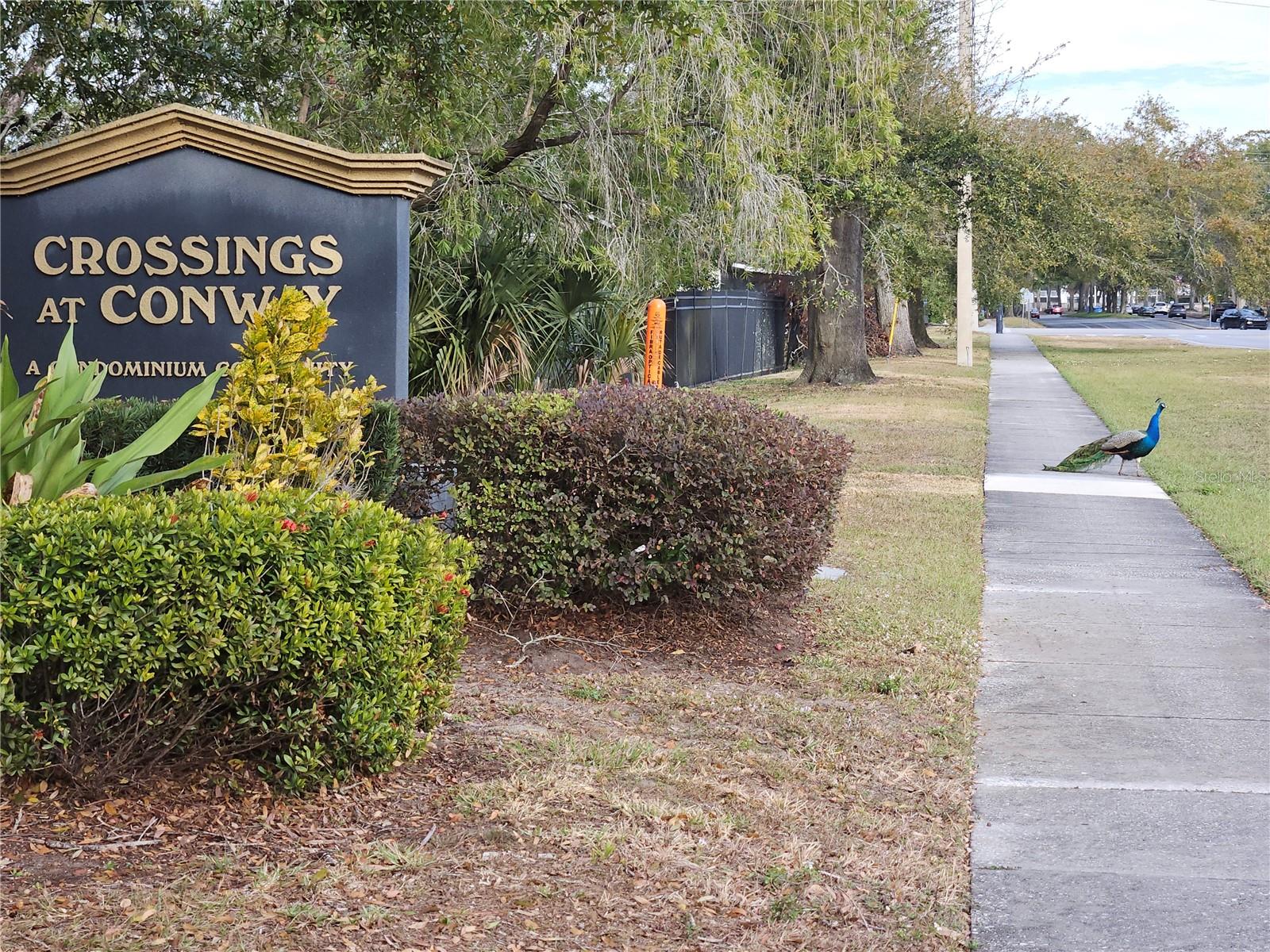 4399 E MICHIGAN ST #4399, ORLANDO, FL, 32812