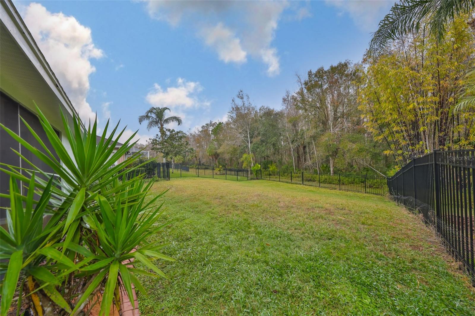 8030 HAMPTON LAKE DR, TAMPA, FL, 33647