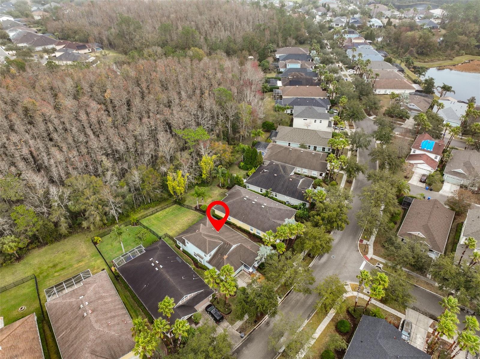 8030 HAMPTON LAKE DR, TAMPA, FL, 33647