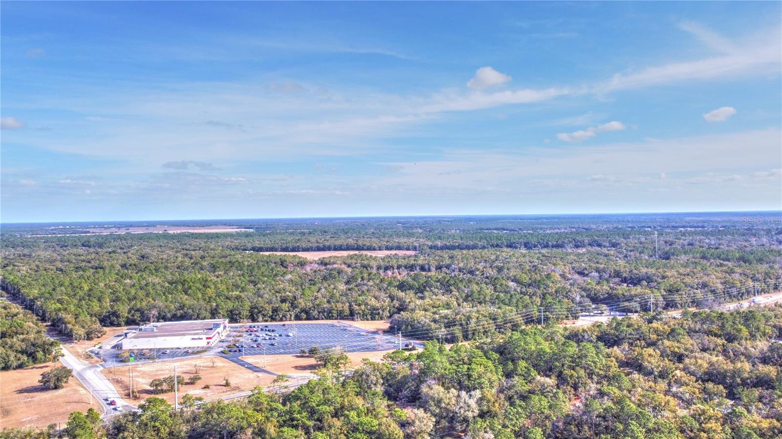 10043 SW 202ND CIR, DUNNELLON, FL, 34431