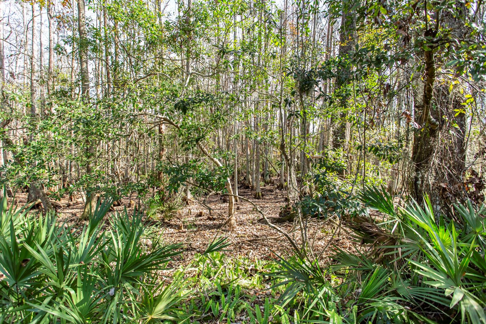 11612 FOXWORTH LN, NEW PORT RICHEY, FL, 34654
