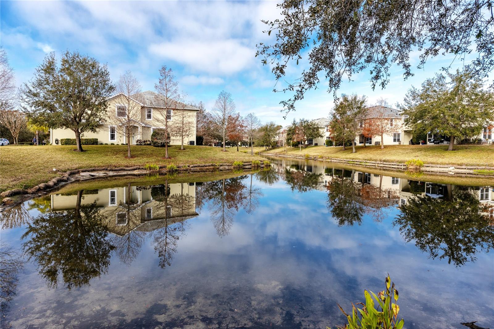 529 HARBOR RIDGE DR, PALM HARBOR, FL, 34683