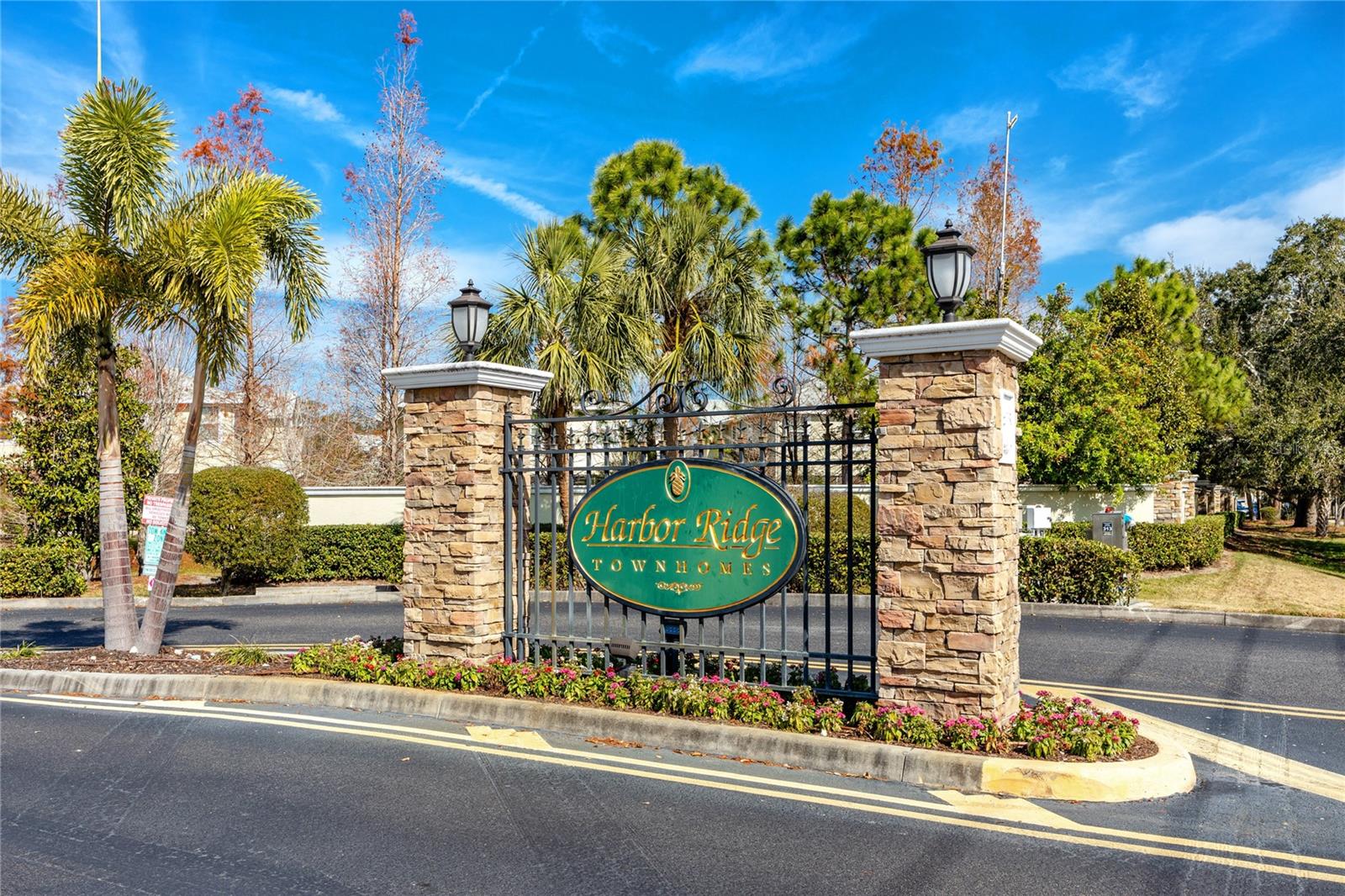 529 HARBOR RIDGE DR, PALM HARBOR, FL, 34683