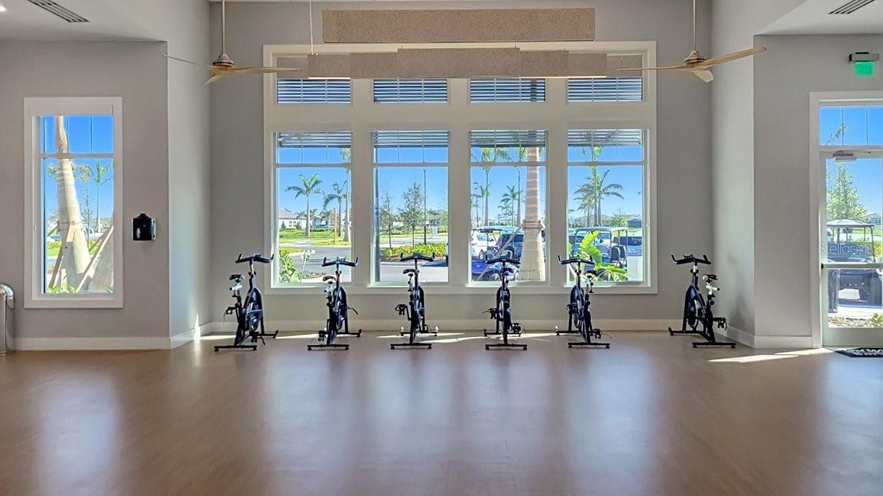 11224 SHORELINE TRL, PARRISH, FL, 34219