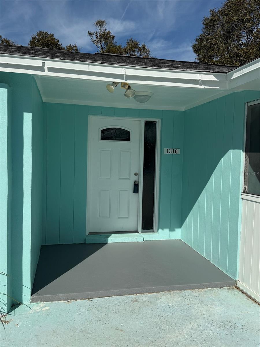 1316 PADDOCK CT, TARPON SPRINGS, FL, 34689