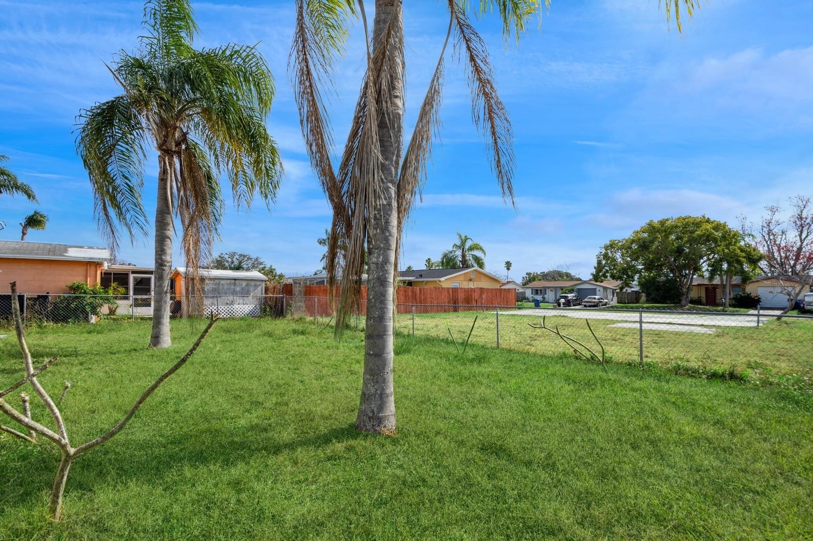 3034 DOMINO DR, HOLIDAY, FL, 34691