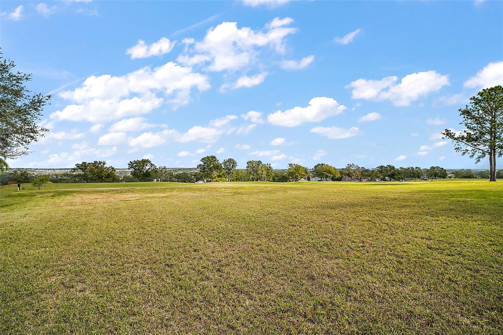 2420 PRAIRIE DUNES, CLERMONT, FL, 34711