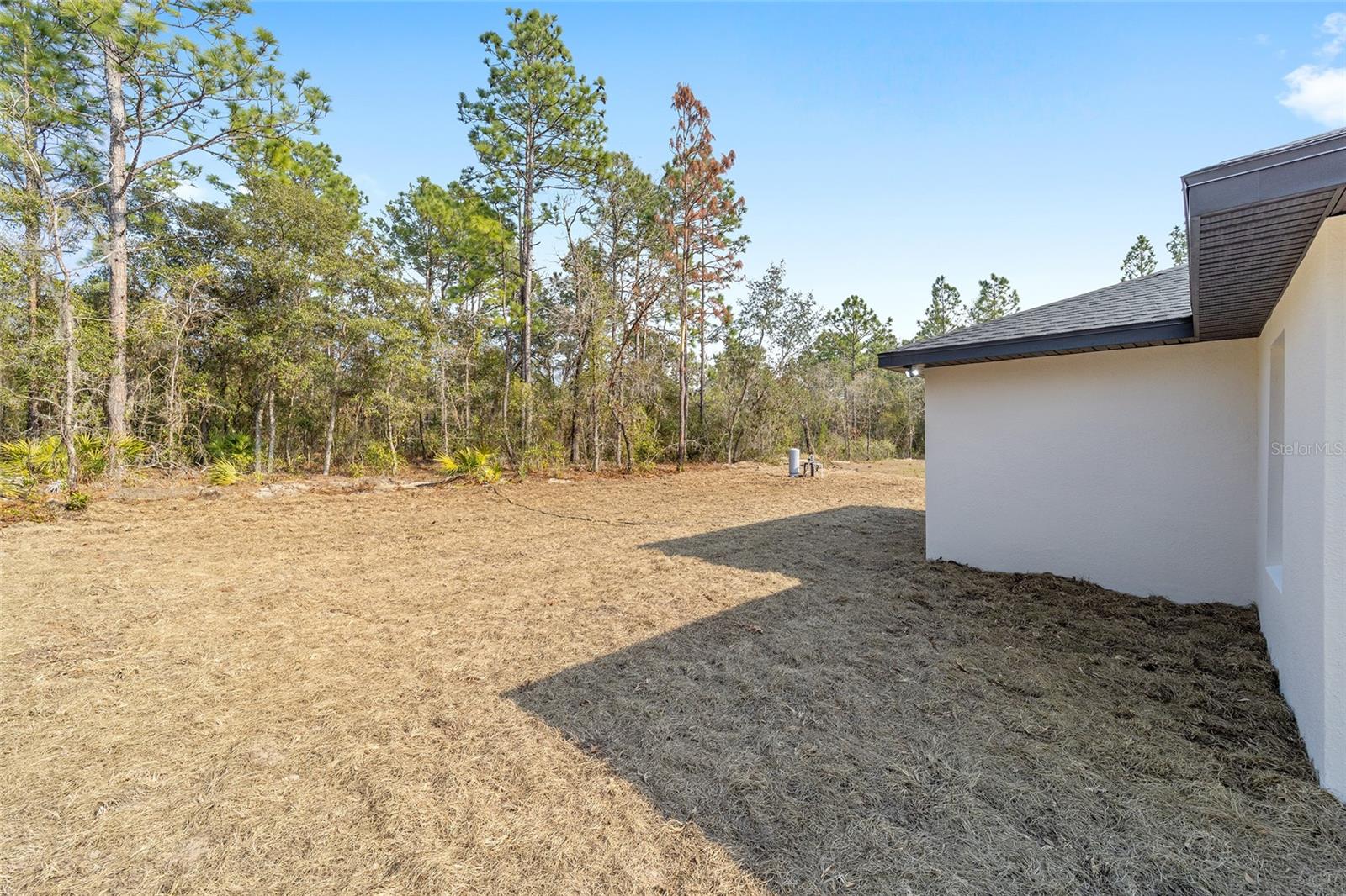 7747 SW 146TH LANE RD, OCALA, FL, 34473