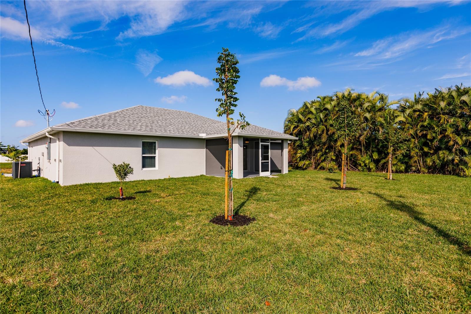 618 NE JUANITA PL, CAPE CORAL, FL, 33909