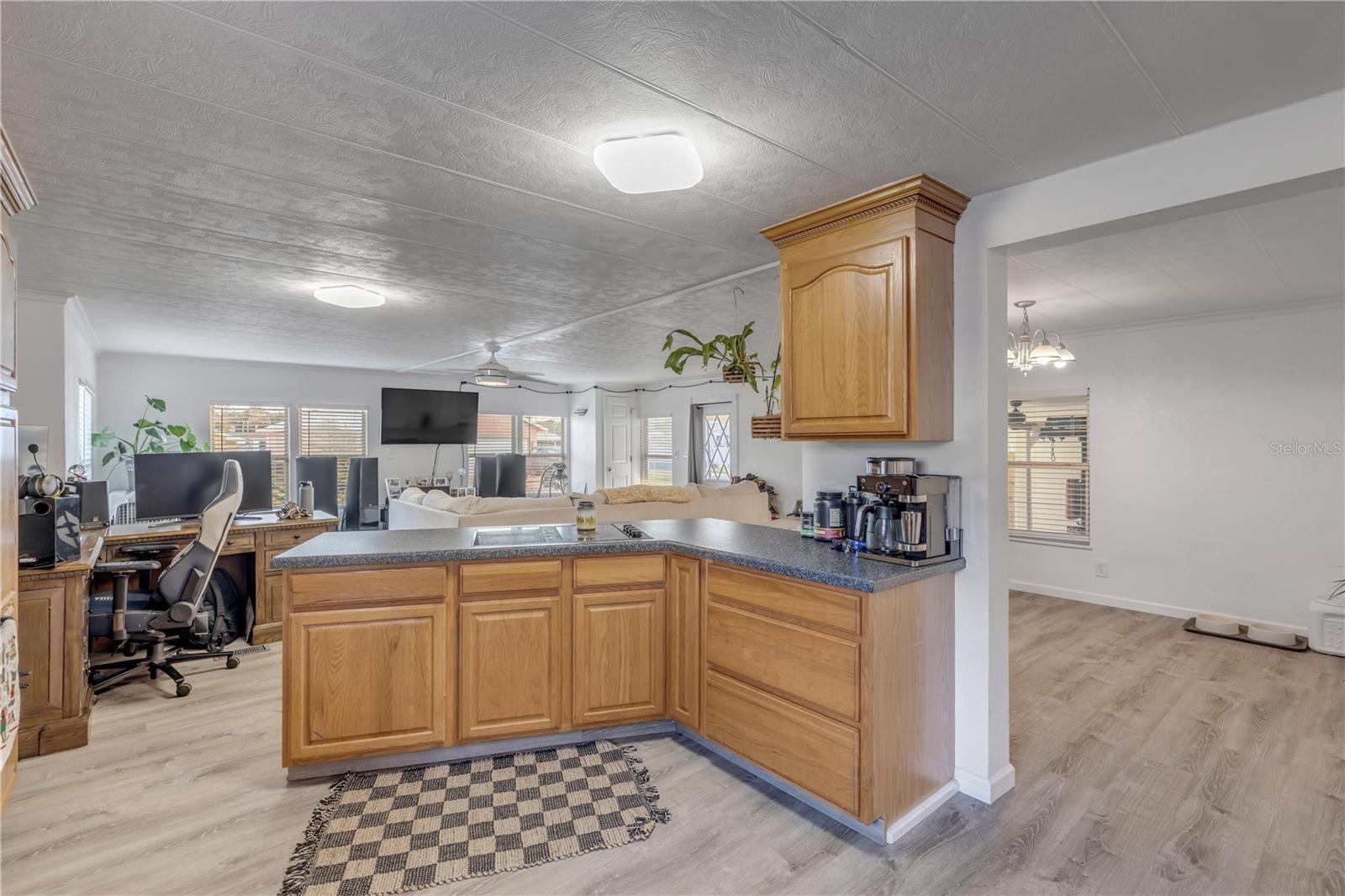135 LEWIS ST, EDGEWATER, FL, 32141