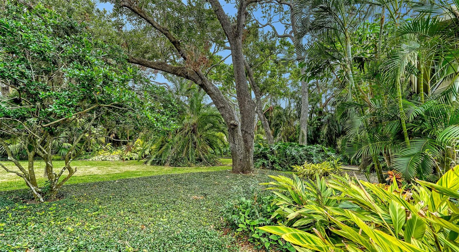 1423 KIMLIRA LN, SARASOTA, FL, 34231