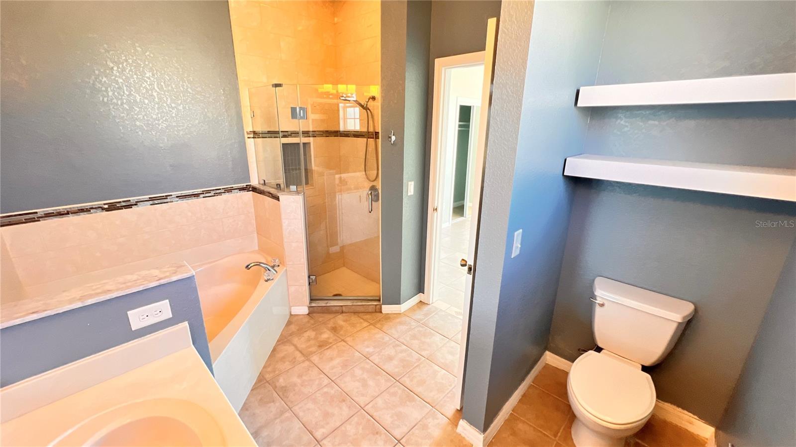 100 OCEAN BLUFF DR, KISSIMMEE, FL, 34759