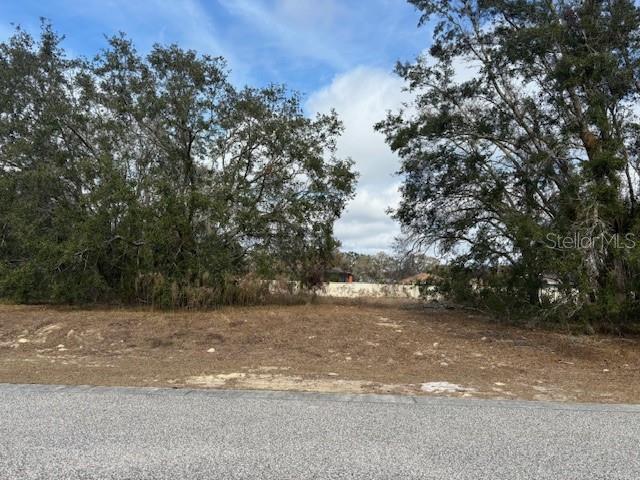 0 REINDEER CT, SPRING HILL, FL, 34608