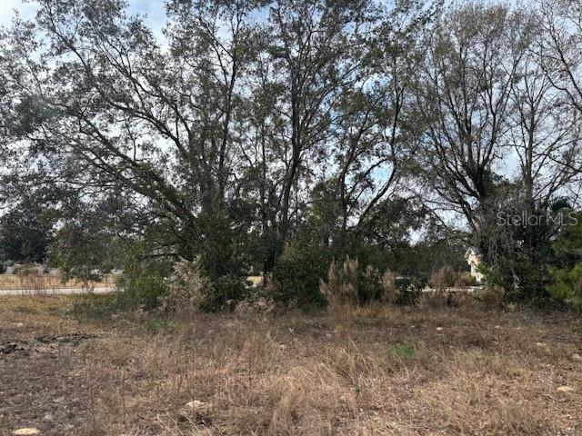 0 REINDEER CT, SPRING HILL, FL, 34608