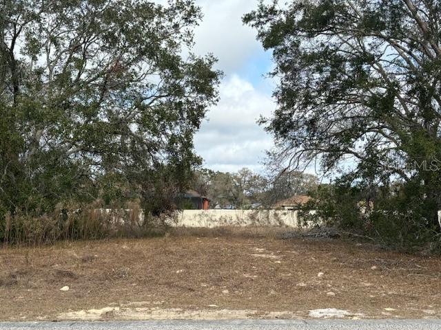 0 REINDEER CT, SPRING HILL, FL, 34608