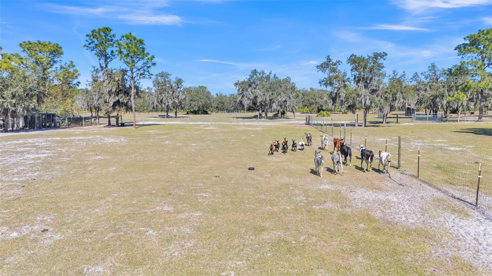 2455 GERBER DAIRY RD, WINTER HAVEN, FL, 33880