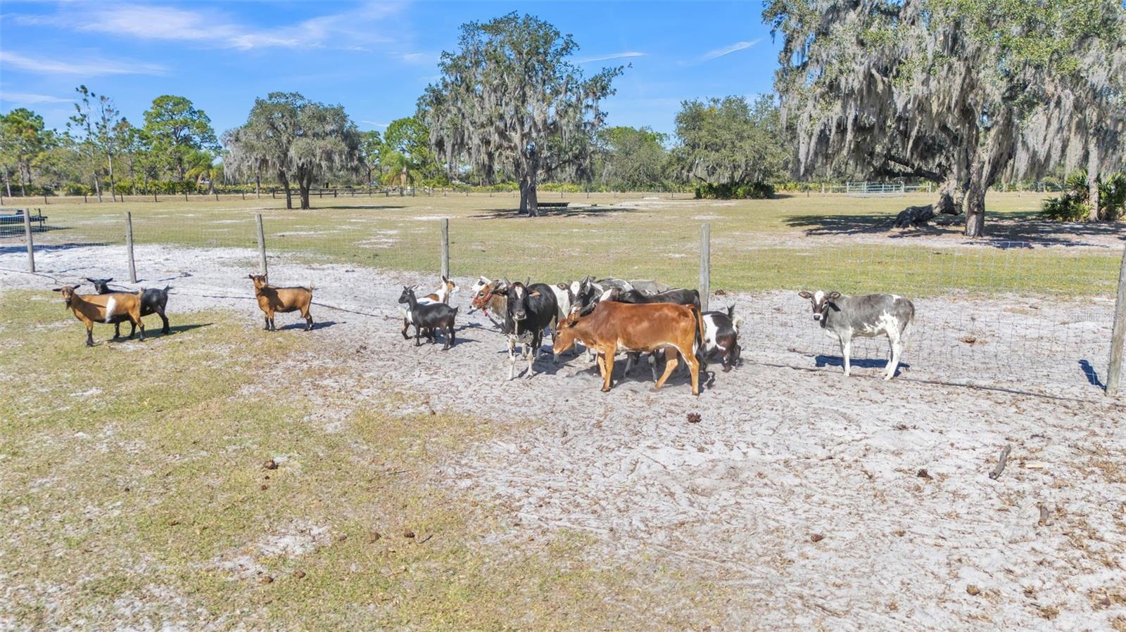 2455 GERBER DAIRY RD, WINTER HAVEN, FL, 33880