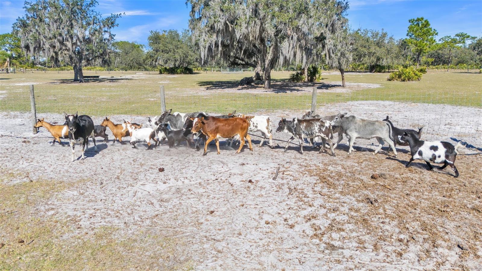 2455 GERBER DAIRY RD, WINTER HAVEN, FL, 33880