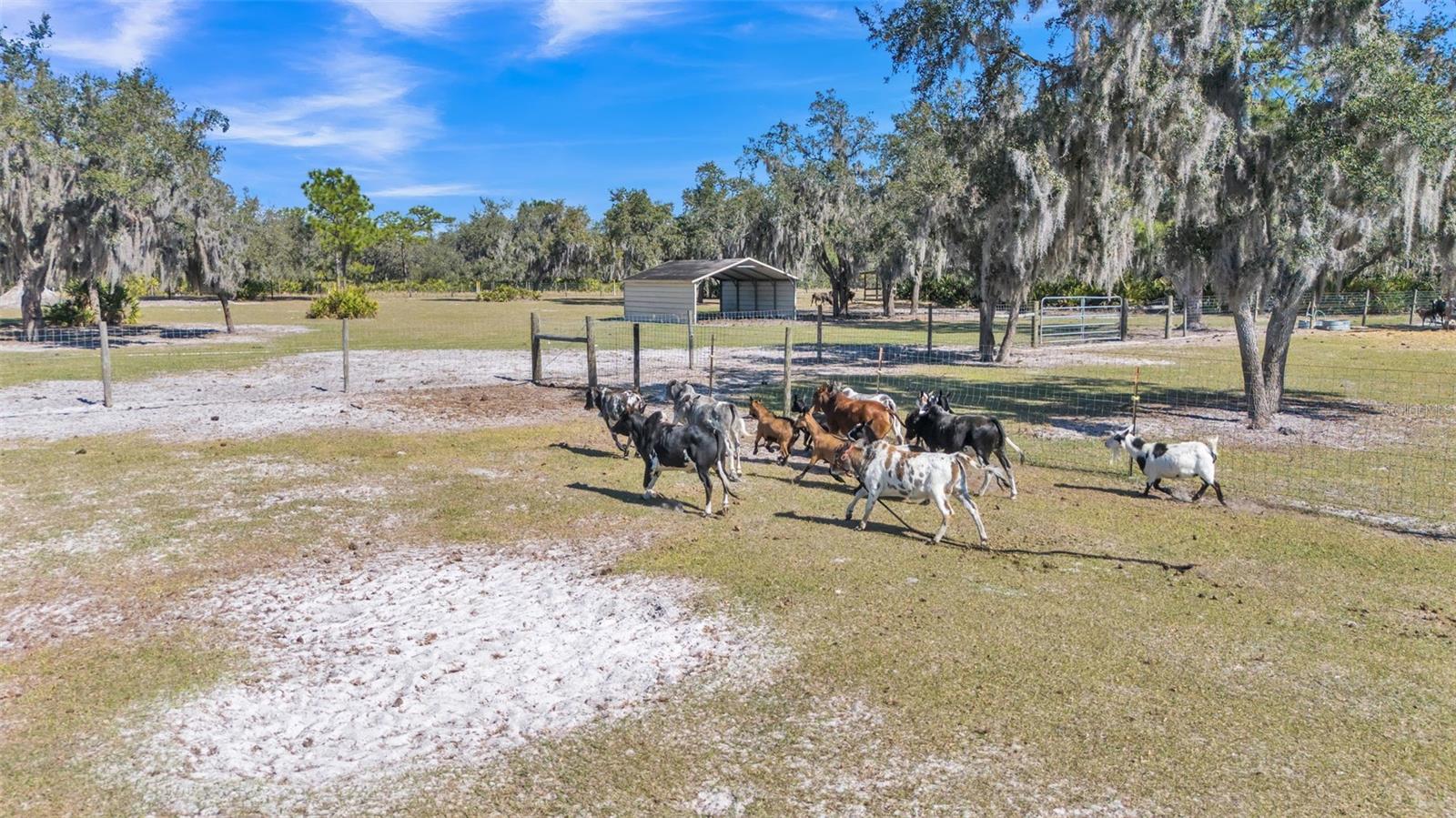 2455 GERBER DAIRY RD, WINTER HAVEN, FL, 33880