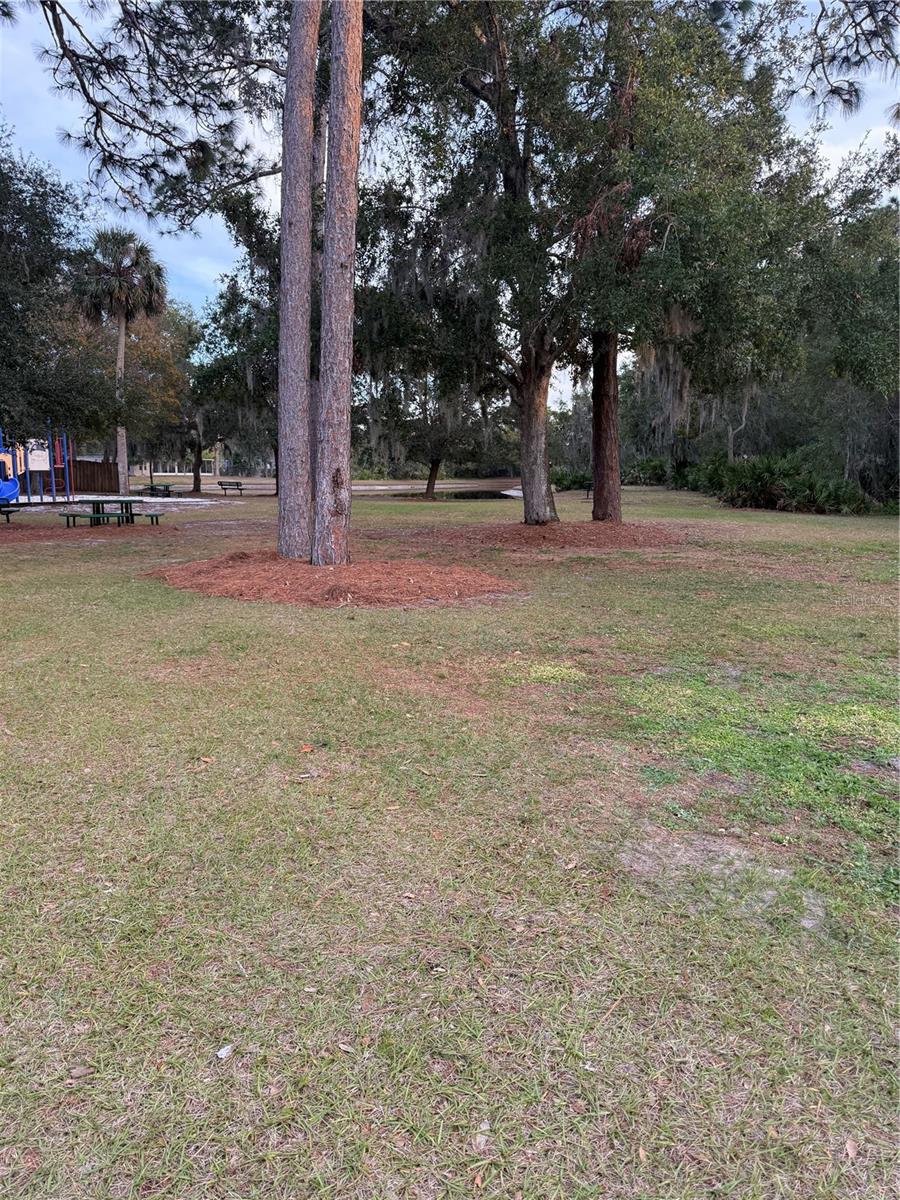 149 FIG TREE RUN RUN, LONGWOOD, FL, 32750