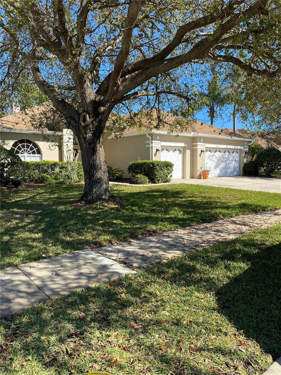 149 FIG TREE RUN RUN, LONGWOOD, FL, 32750