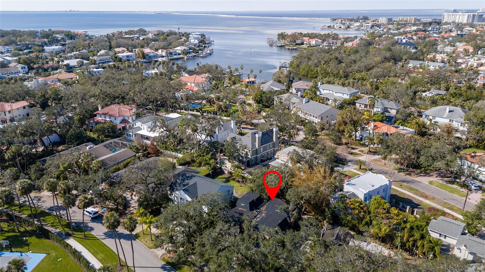 807 GROVE PARK AVE, TAMPA, FL, 33609