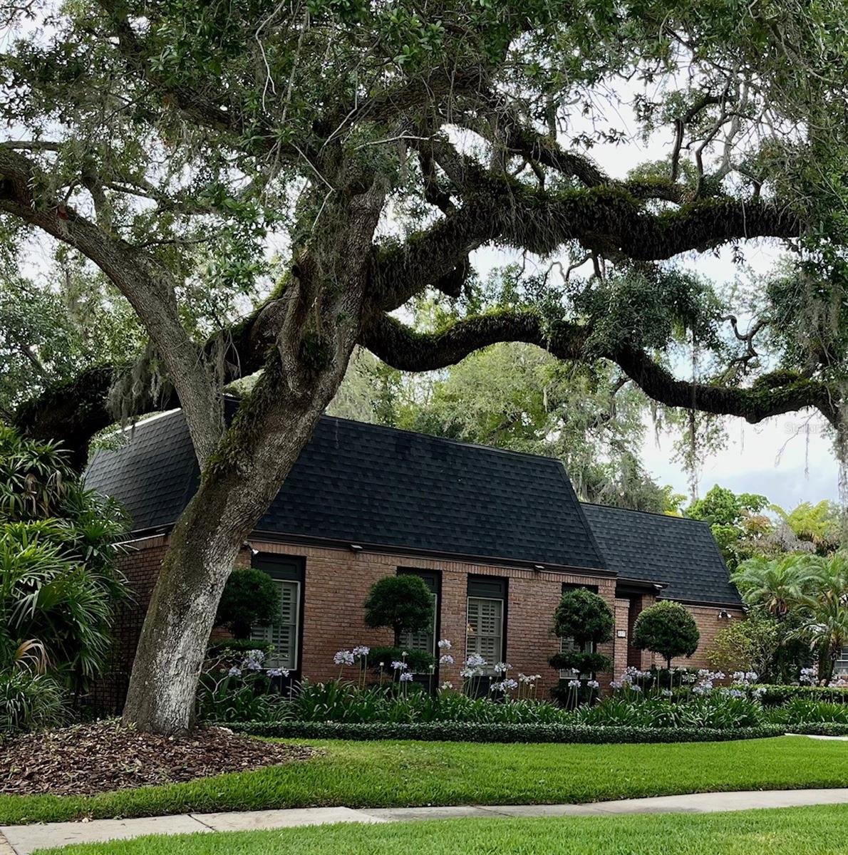 807 GROVE PARK AVE, TAMPA, FL, 33609