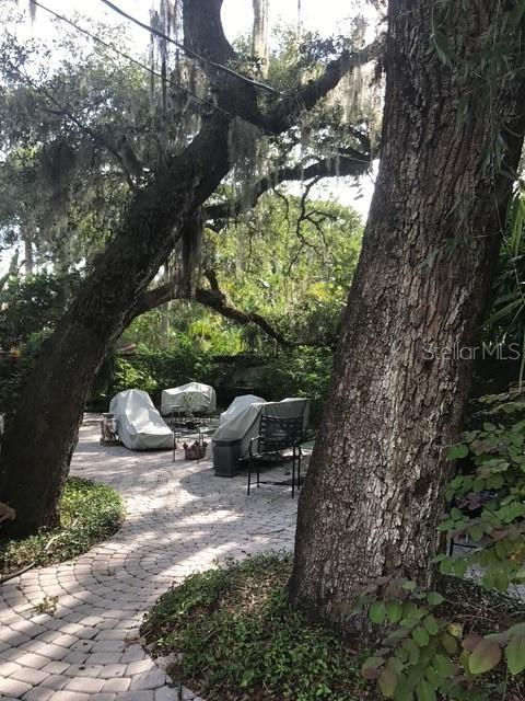 807 GROVE PARK AVE, TAMPA, FL, 33609