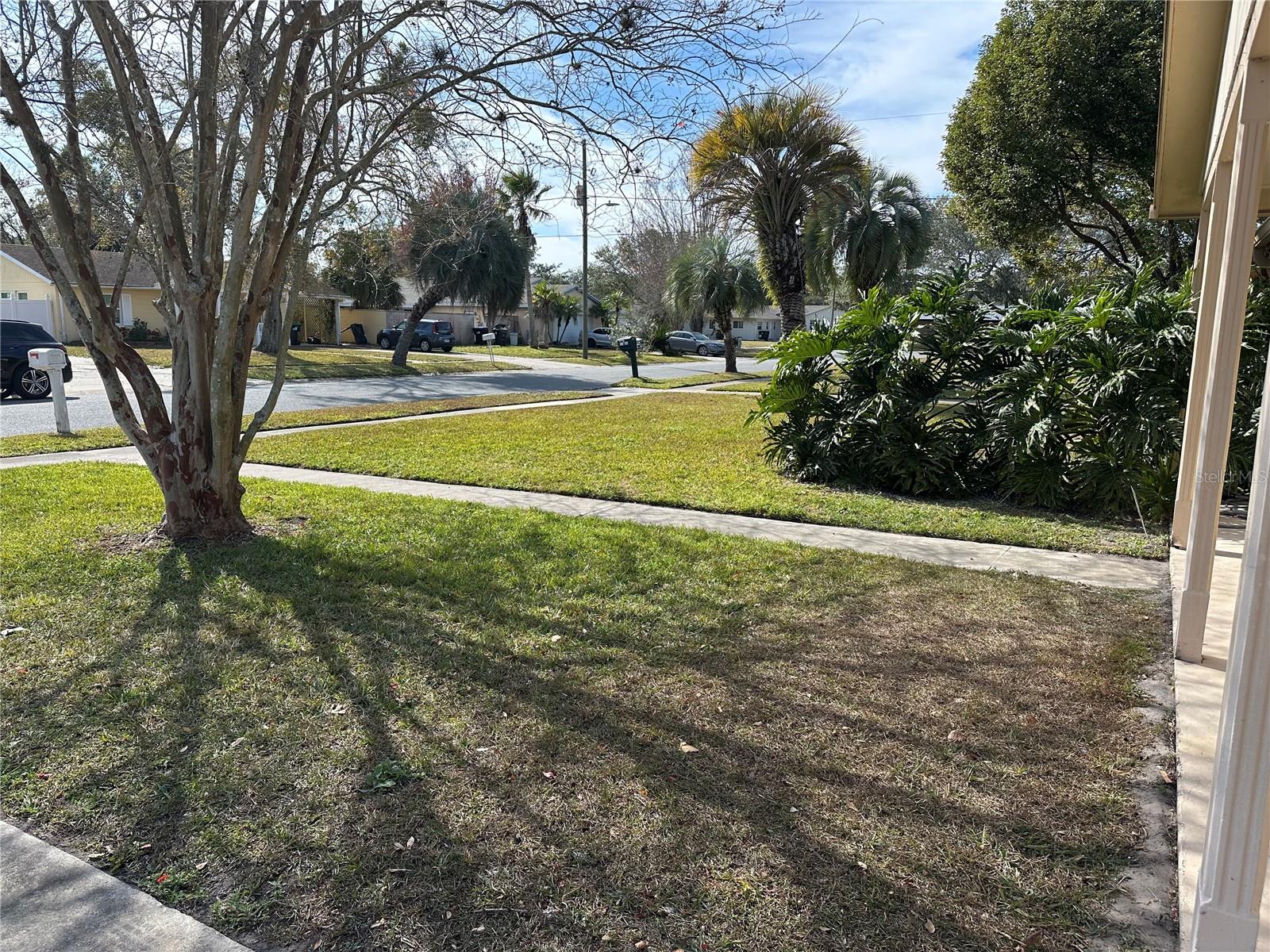 1117 PRINCEWOOD DR, ORLANDO, FL, 32810